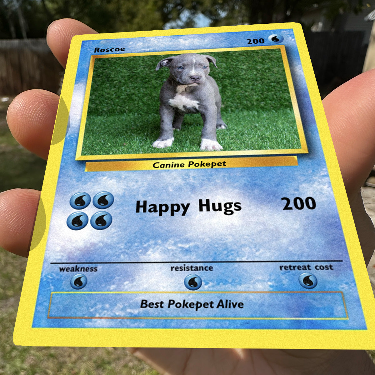 Pokepet Photo Card