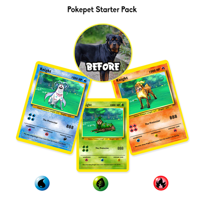 Pokepet Starter Pack
