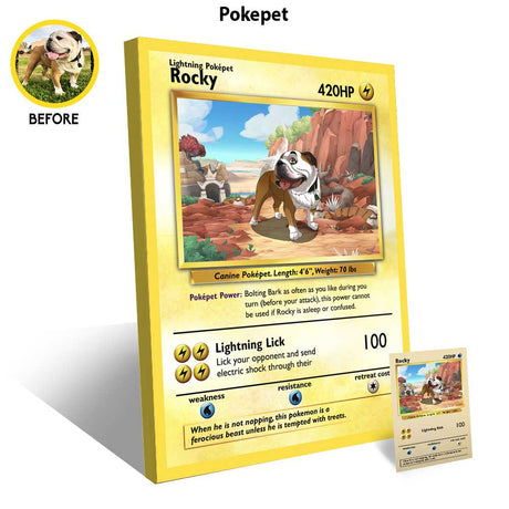 Canvas Poke Pet Shop Canvas Poke Pet Shop