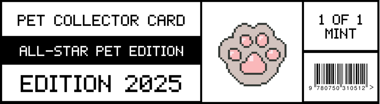 Pokepet Graded Acrylic Case